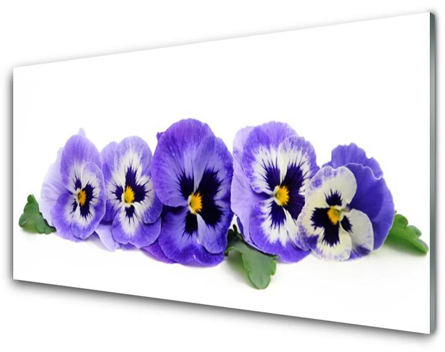 Obraz plexi Plátky kvet sirôtky 125x50 cm
