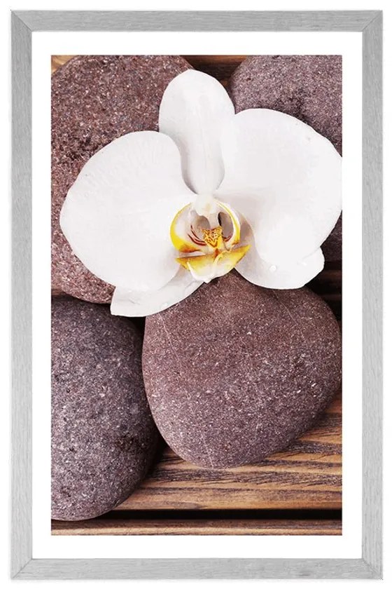 Plagát s paspartou wellness kamene a orchidea na drevenom pozadí - 30x45 silver