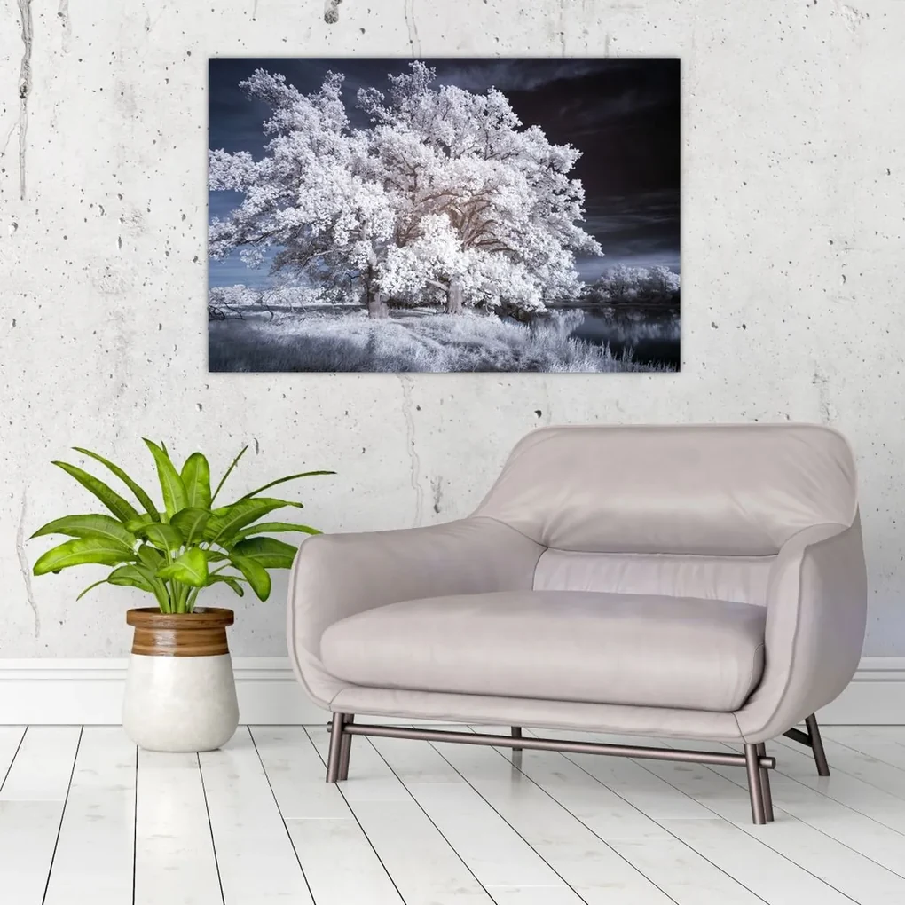 Obraz - Snehobiely strom (90x60 cm)