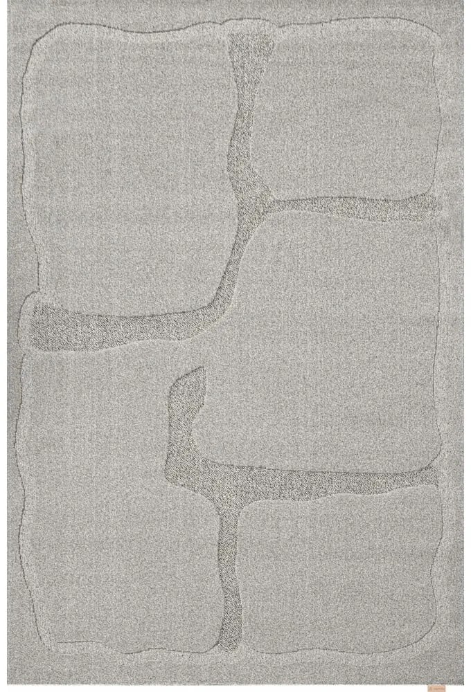 Sivý vlnený koberec 200x300 cm Morphic Organica – Agnella