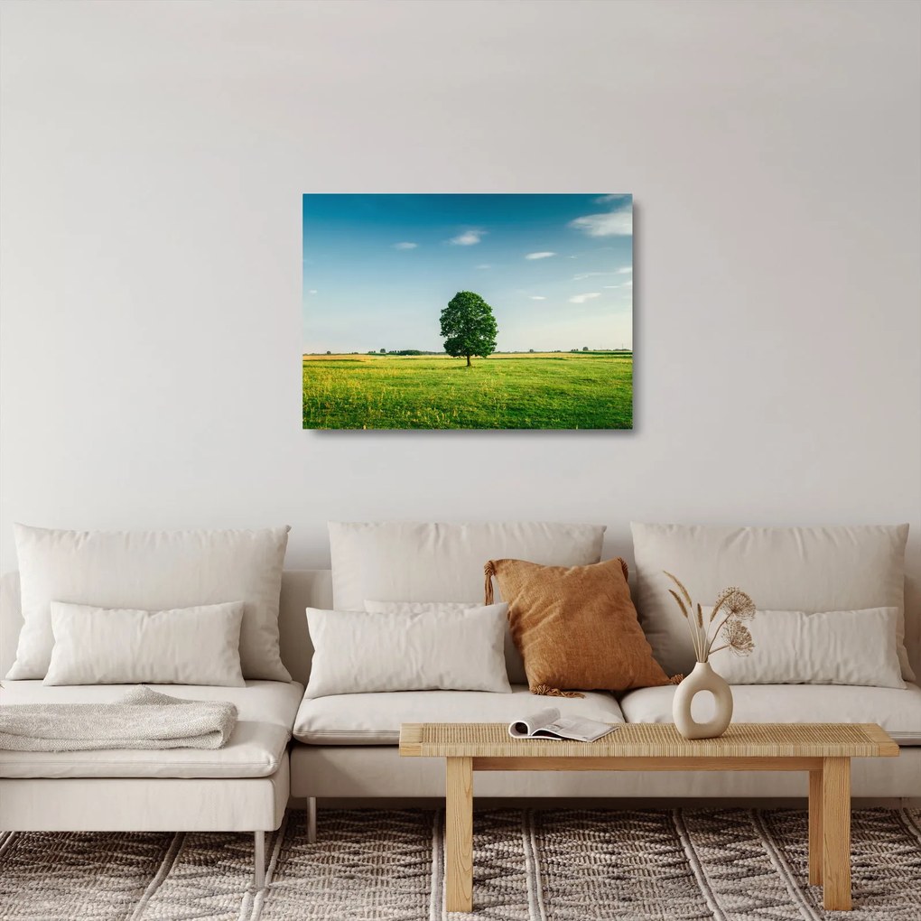 Sklenený obraz stromu na lúke (70x50 cm)