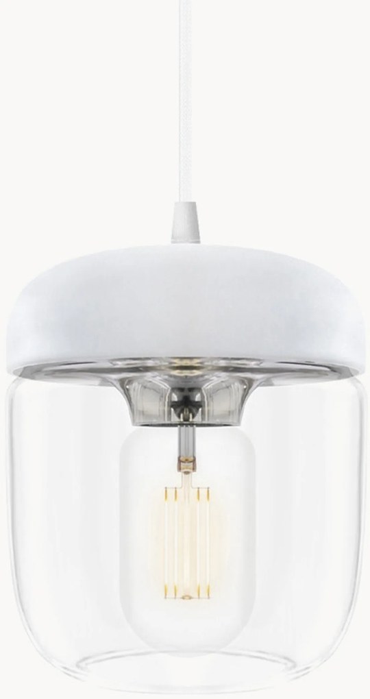 Závesné svietidlo Acorn