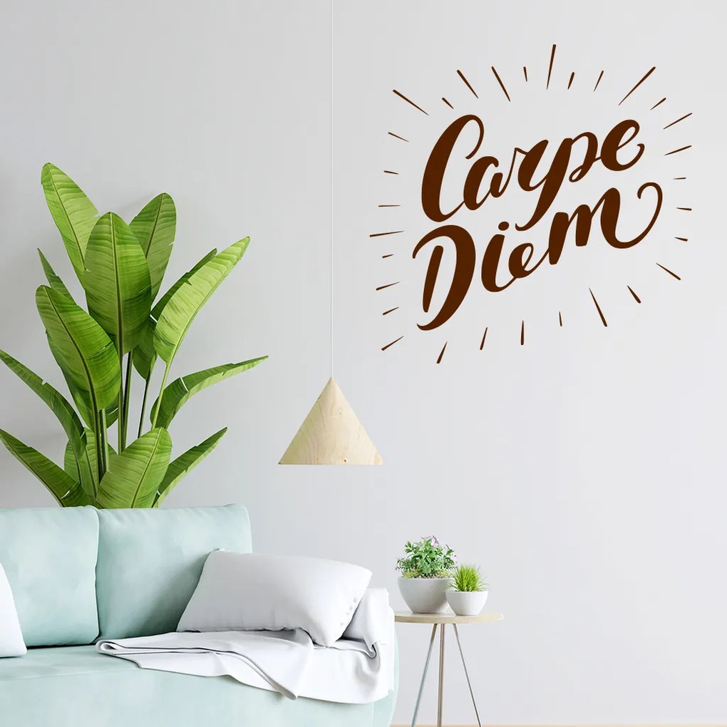 Veselá Stena Samolepka Carpe Diem (Užívaj dňa) Farba: šedá, Veľkosť: 40 x 40 cm