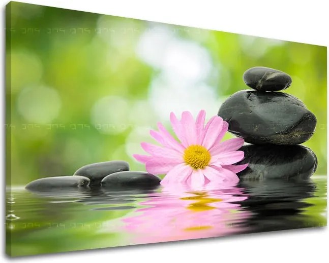 Obraz na stenu FENG SHUI