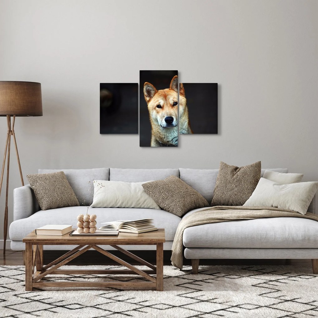 Obraz psa (90x60 cm)