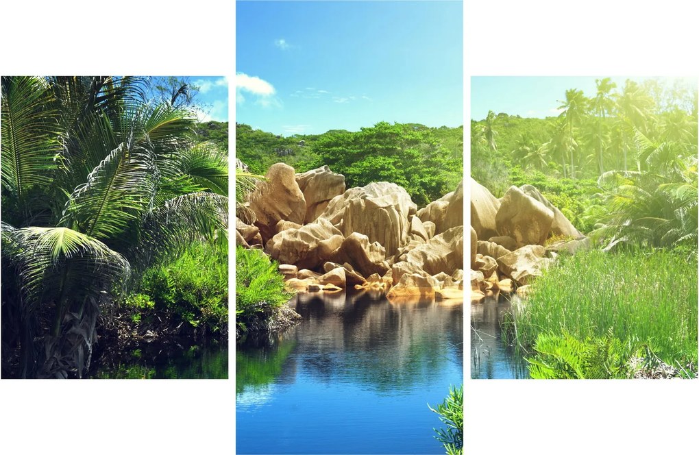 Obraz jazera v Seychelskej džungli (90x60 cm)