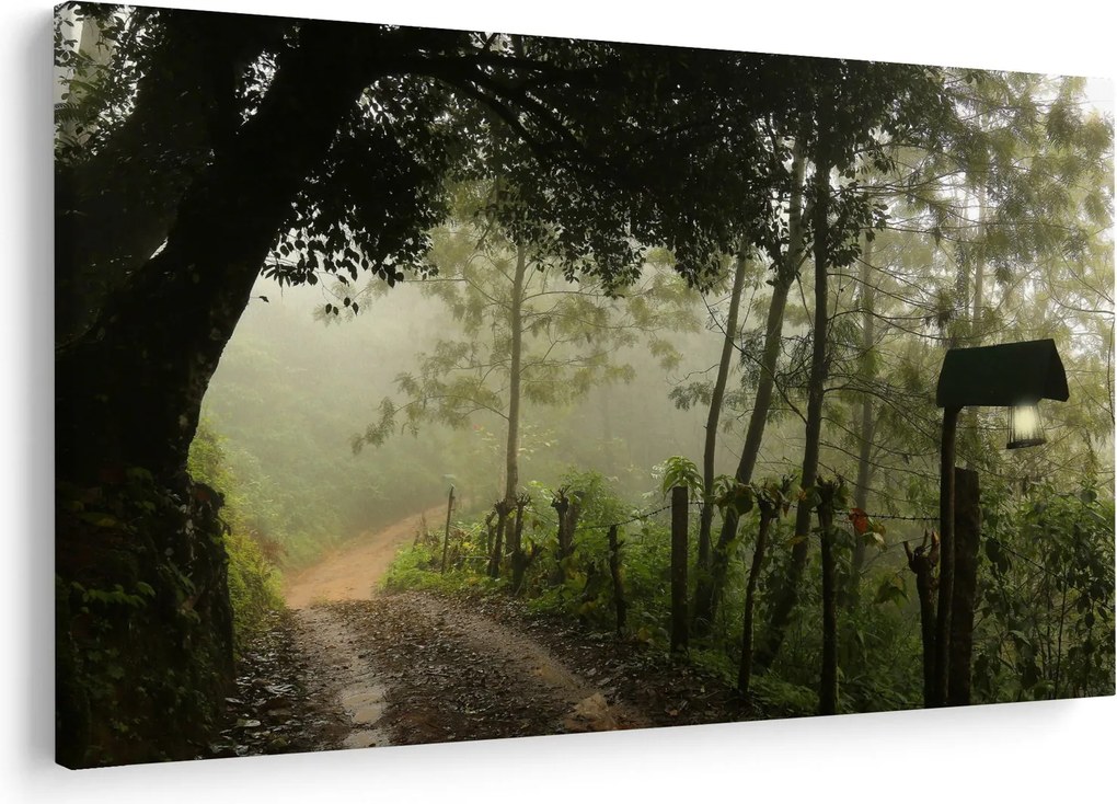 Obraz rannej hmly (90x60 cm)