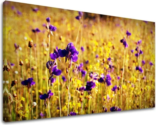 Obraz na stenu KVETY KV088E11 - 40x60 cm