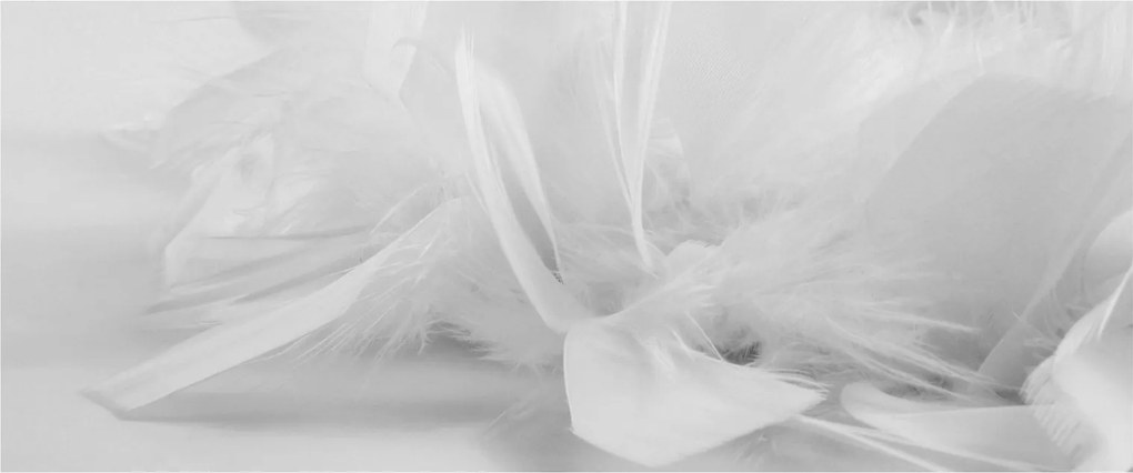 Obraz - Perie (120x50 cm)
