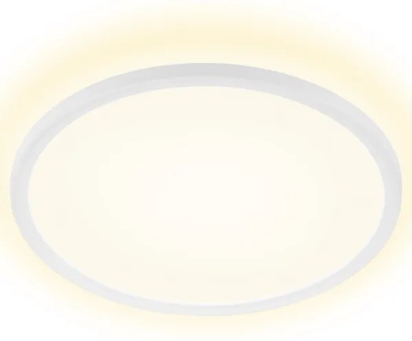 Briloner 7157-416 - LED Stropné svietidlo SLIM LED/22W/230V pr. 42 cm