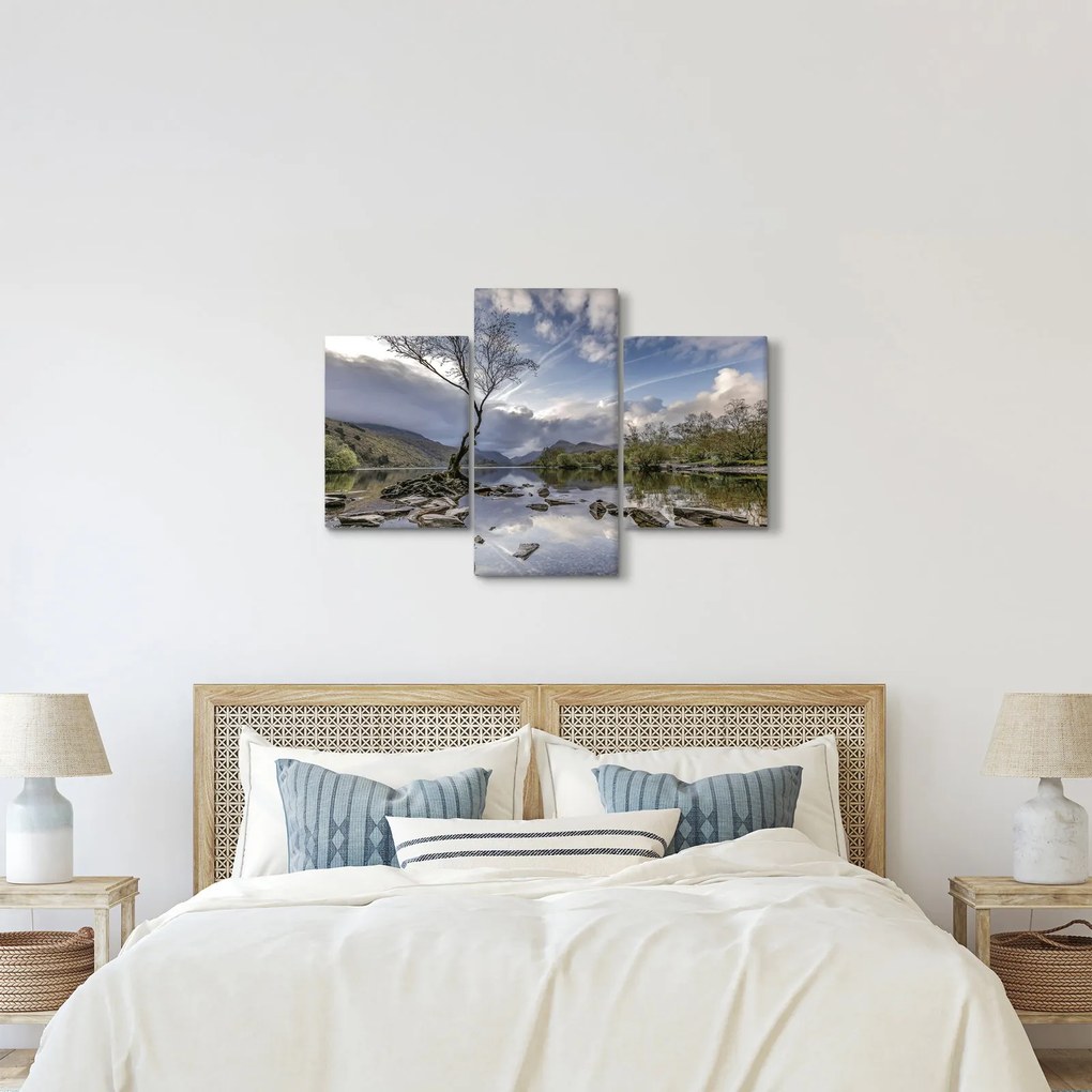 Obraz rieky za stromom (90x60 cm)