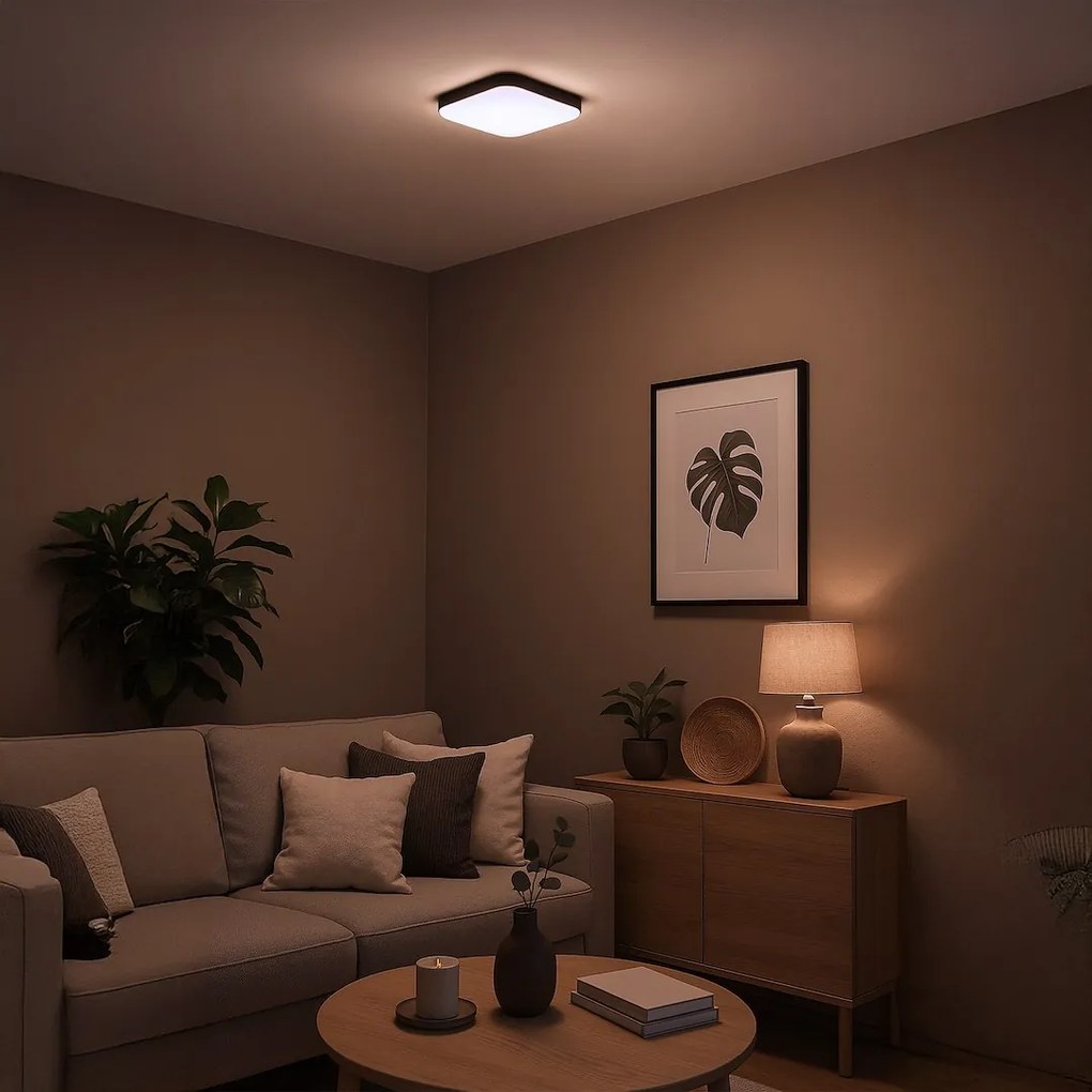 Stropné LED svietidlo Nemo, 1x LED 11w, 4000k, b