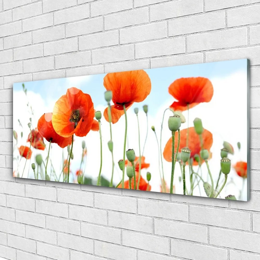 Obraz plexi Kvety maky lúka pole príroda 125x50 cm