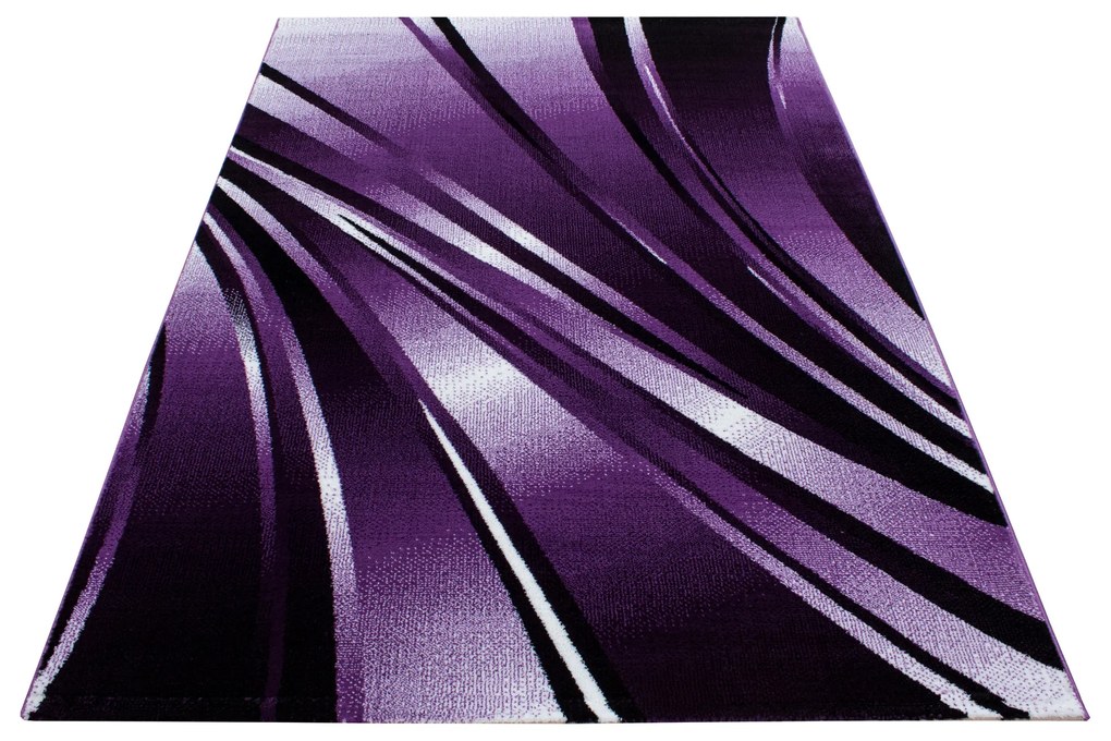 Kusový koberec Parma 9210 lila, 120x170, fialová, chodba / predsieň, Ayyildiz