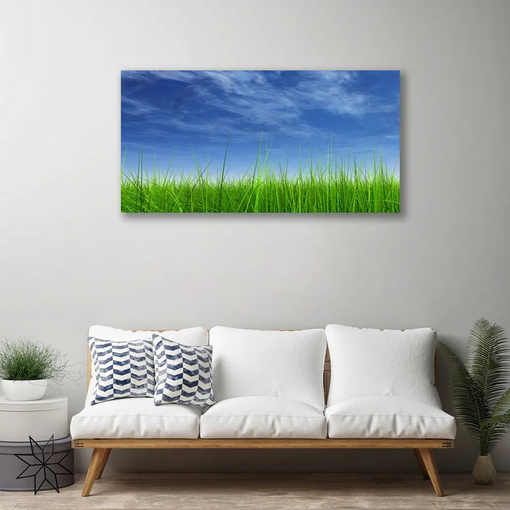 Obraz na plátne Nebo tráva príroda 140x70 cm