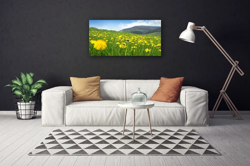 Obraz na plátne Púpava príroda 120x60 cm