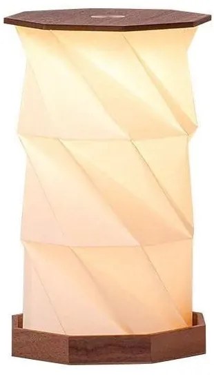 Tmavo prírodná svetelná dekorácia na USB ø 12 cm Twist Hexagon – Gingko