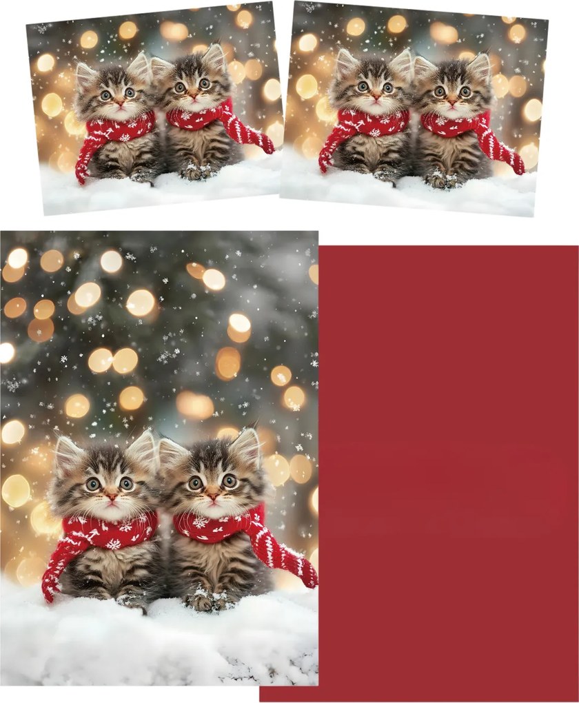 3D obliečky z mikrovlákna SNOWY PAWS farebné Rozmer obliečky: 70 x 90 cm | 140 x 200 cm