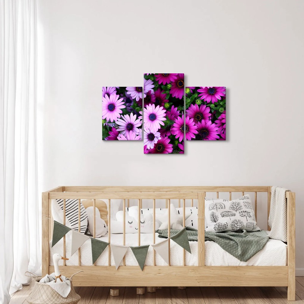 Obraz - Kvety (90x60 cm)