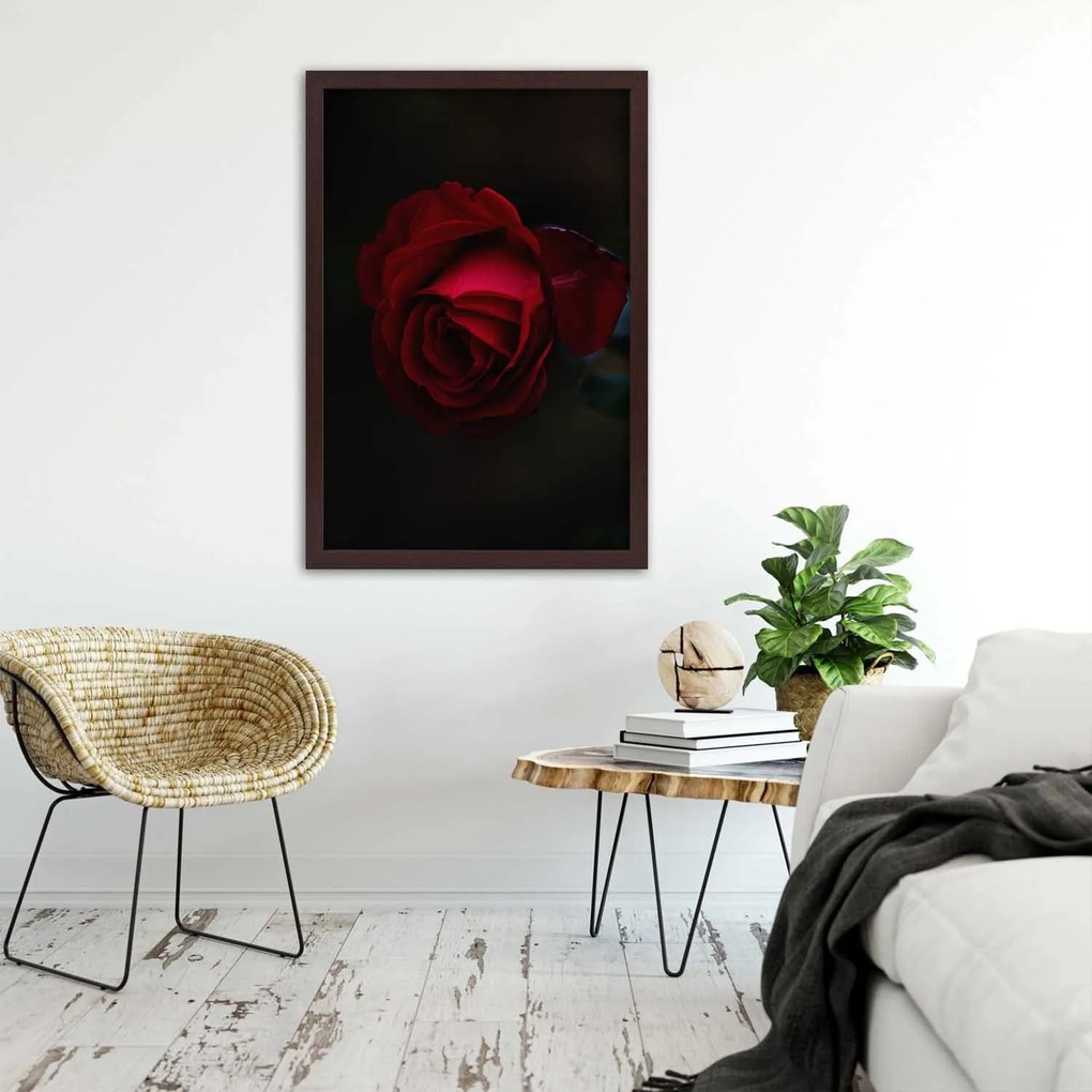 Gario Plagát Červená ruža v noci Farba rámu: Bez rámu, Rozmery: 30 x 45 cm