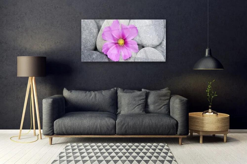 Skleneny obraz Kvet kamene rastlina 125x50 cm