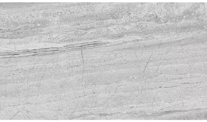 Gresová dlažba Astor Gris 30/60