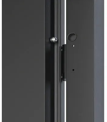 Kovové vchodové dvere P68 Artemida 90 P tmavý antracit