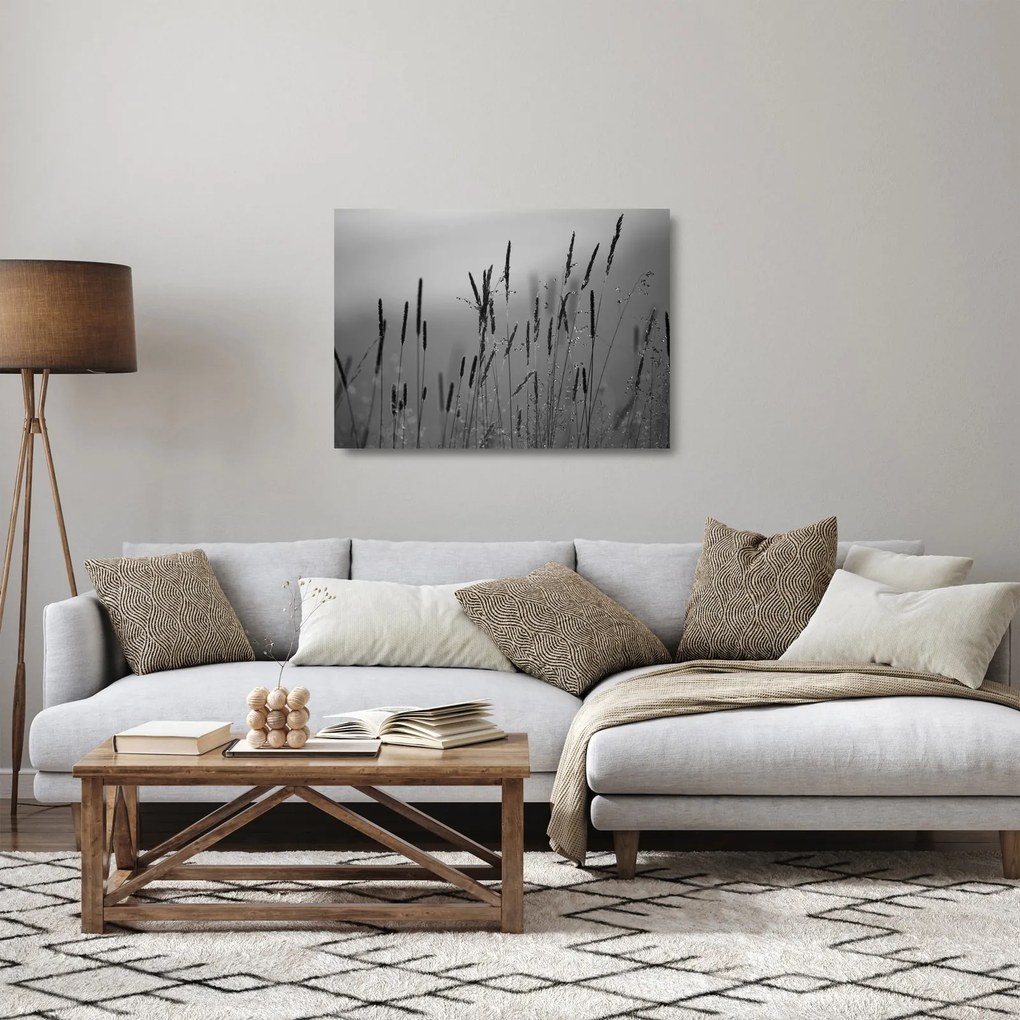 Sklenený obraz - Steblá trávy (70x50 cm)