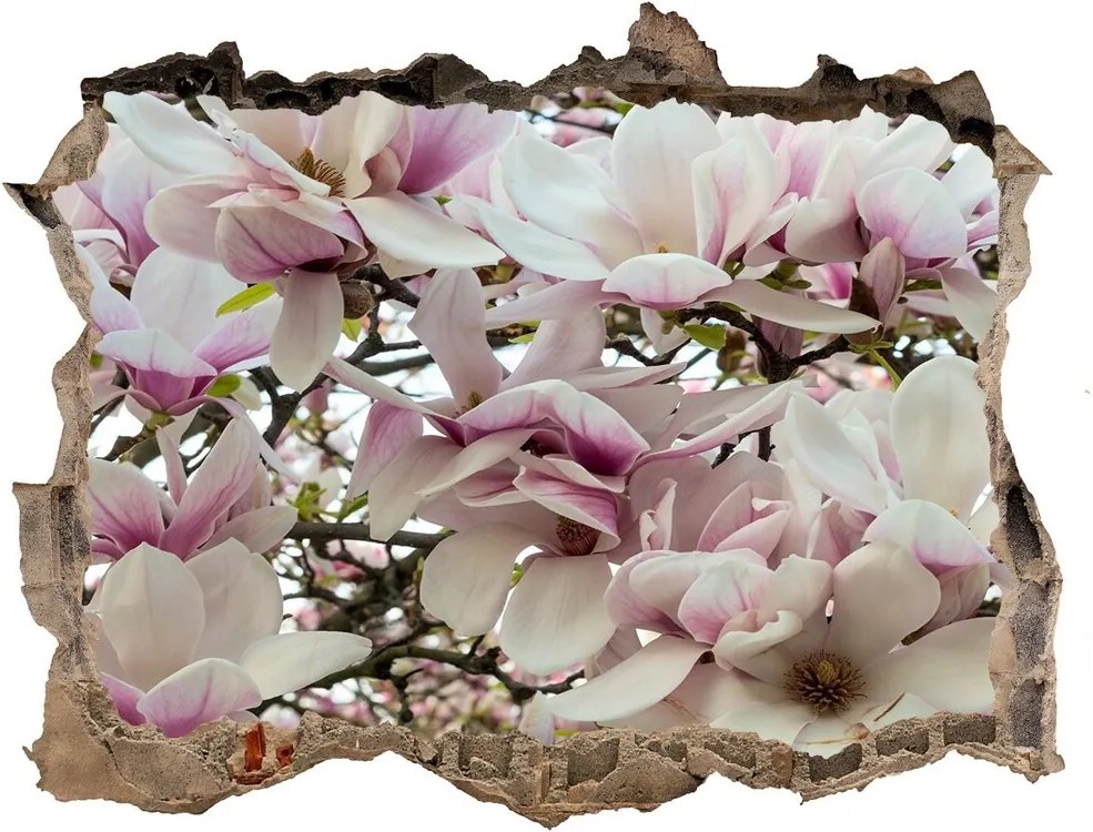 Samolepící nálepka fototapeta Květy magnolie WallHole-95x64-kamien-107287859