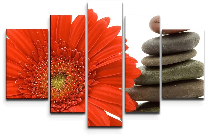 Sablio Obraz - 5-dílný Gerbera s kameňmi - 125x90 cm