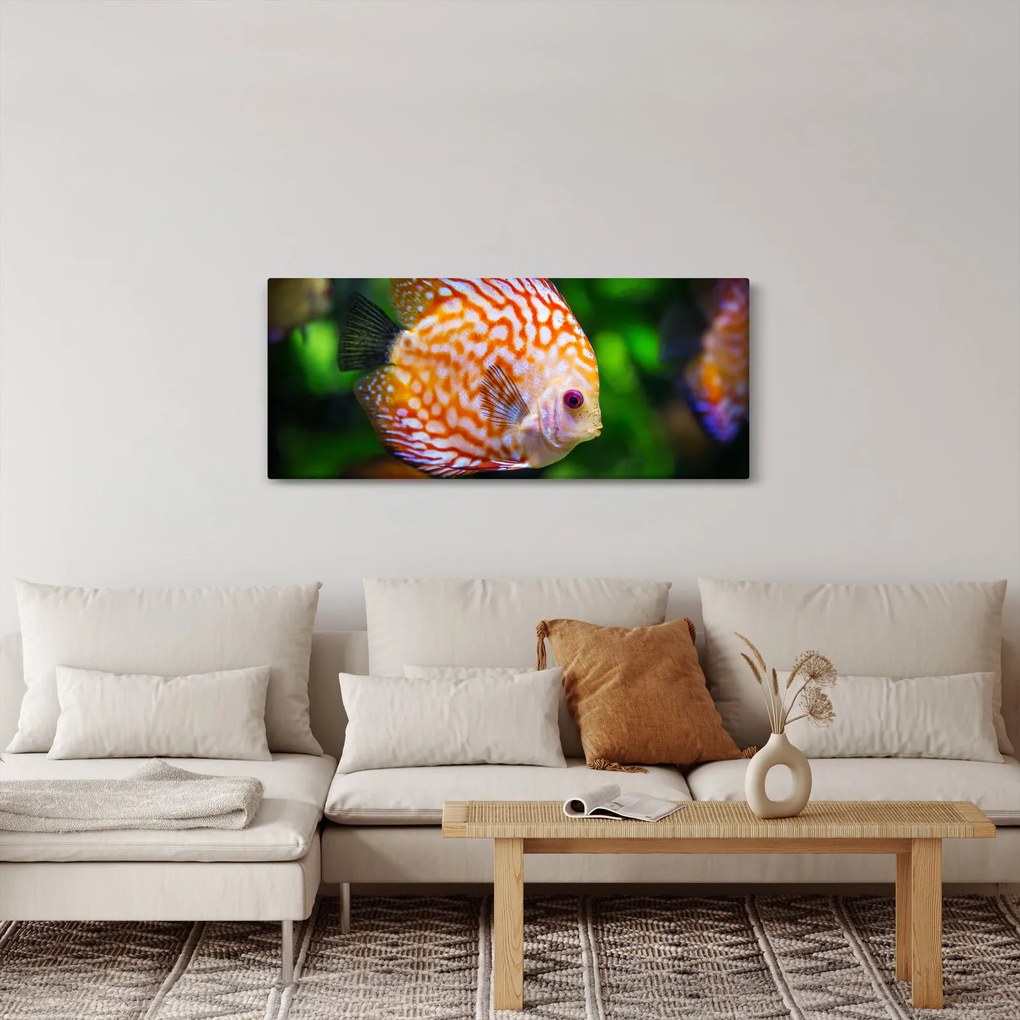 Obraz ryby (120x50 cm)