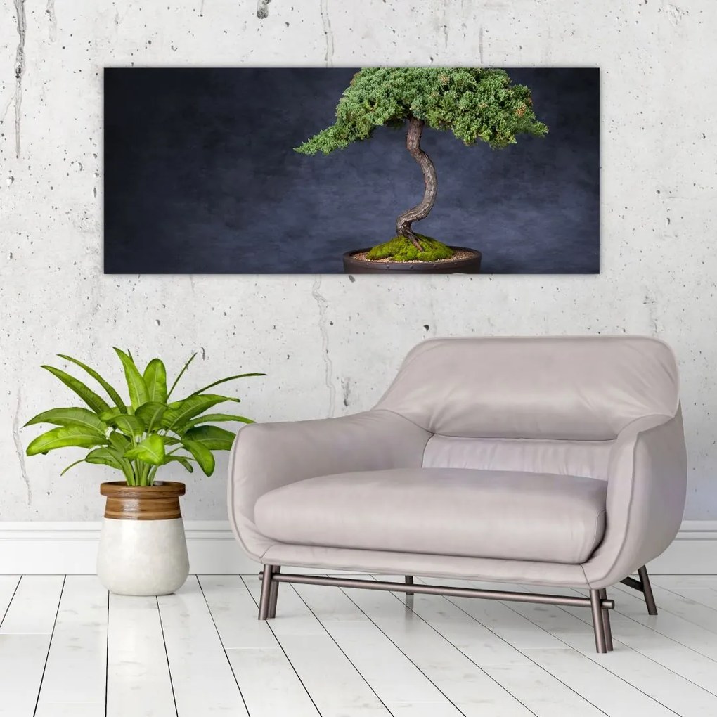 Obraz - Bonsai (120x50 cm)