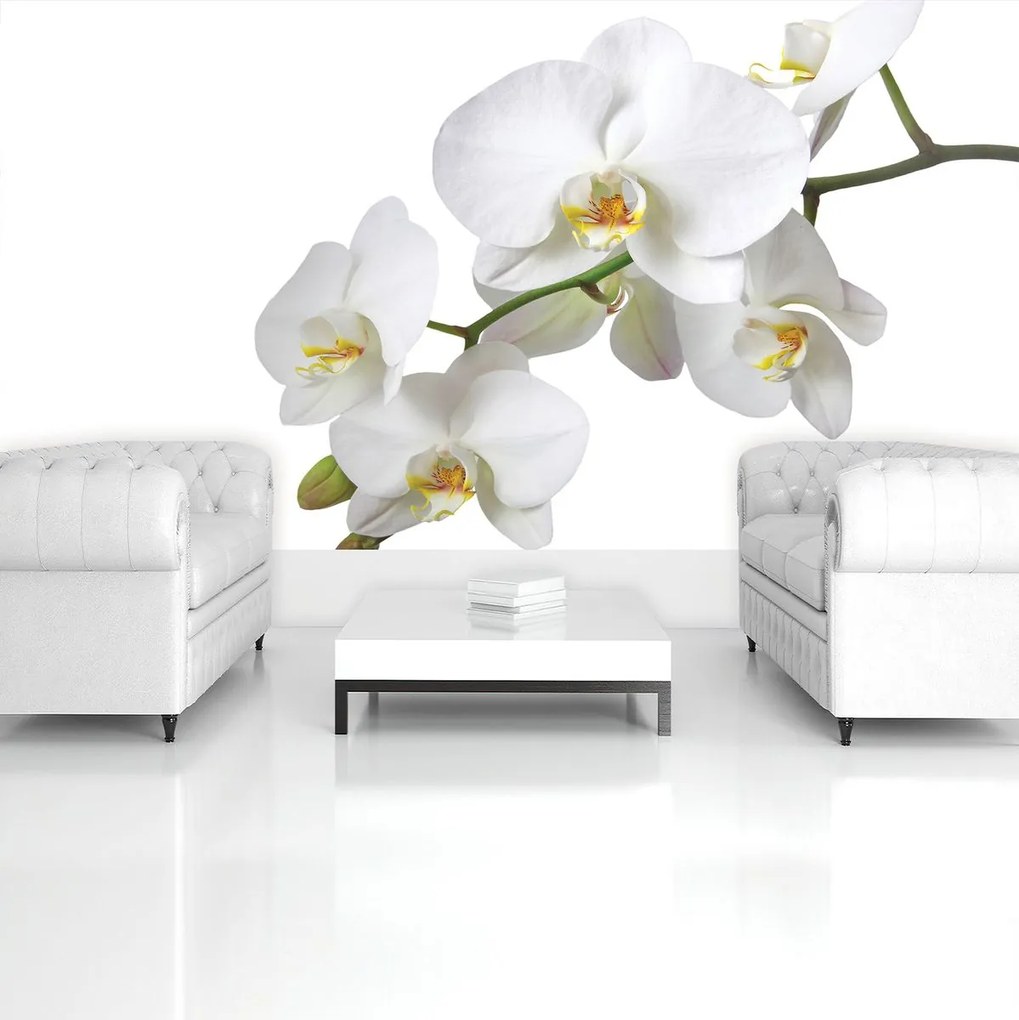 Fototapeta - Kvetinové umenie - abstraktné (152,5x104 cm)