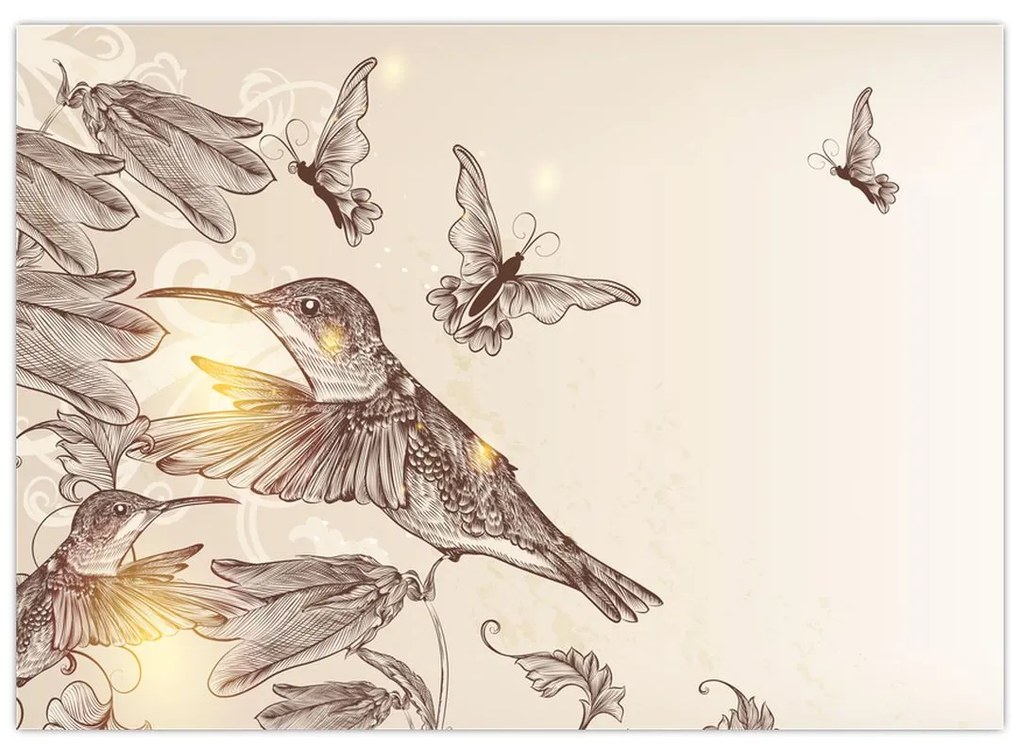 Sklenený obraz - Kolibríky (70x50 cm)