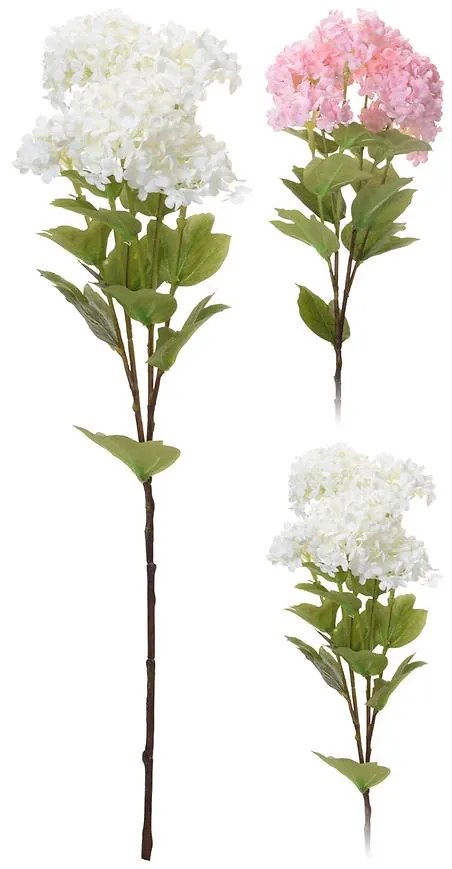 Klaina 6 konárov 60 cm