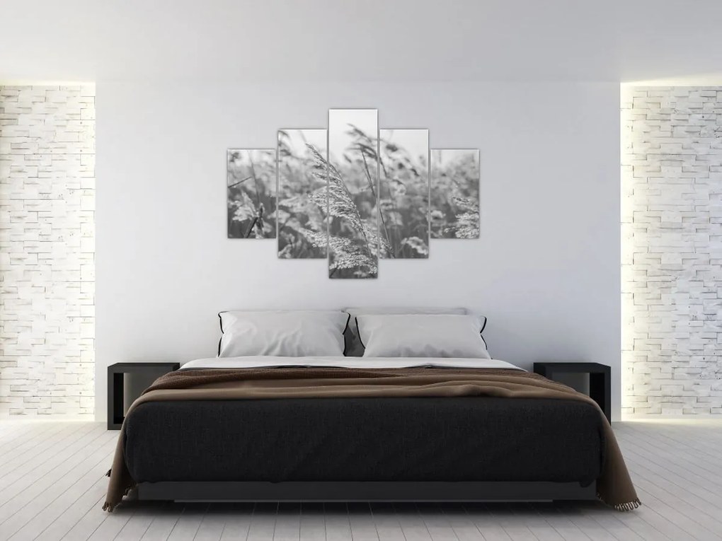 Obraz - Tráva vo vetre (150x105 cm)
