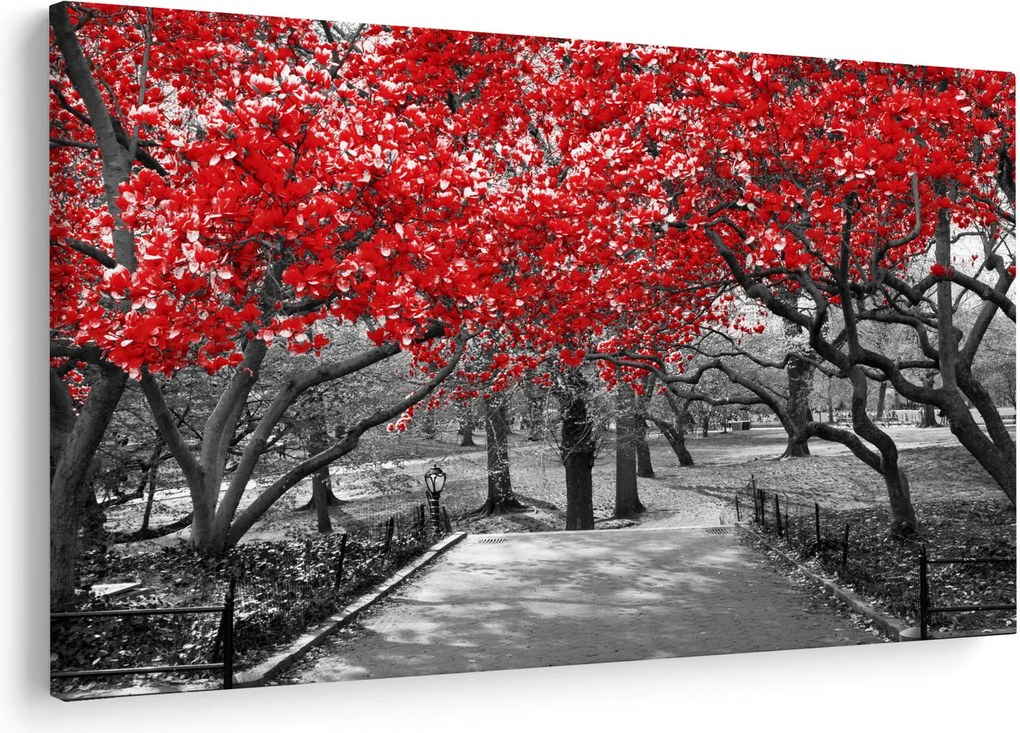 Obraz - Červené stromy, Central Park, New York (90x60 cm)