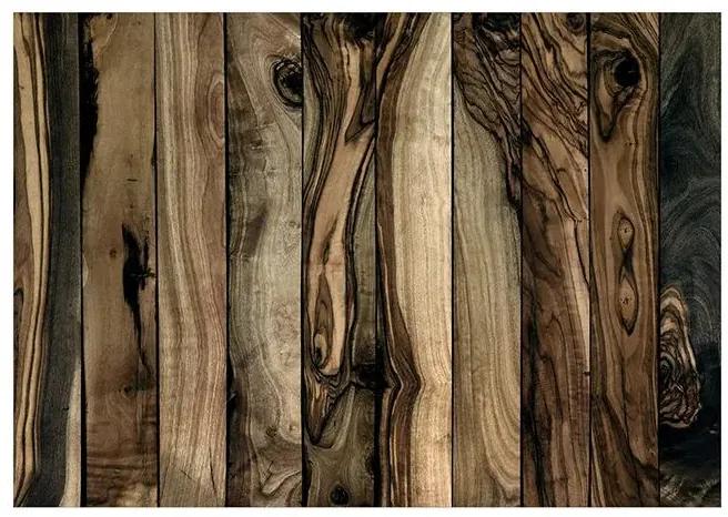 Samolepiaca fototapeta - Olive Wood Veľkosť: 294x210, Verzia: Samolepiaca