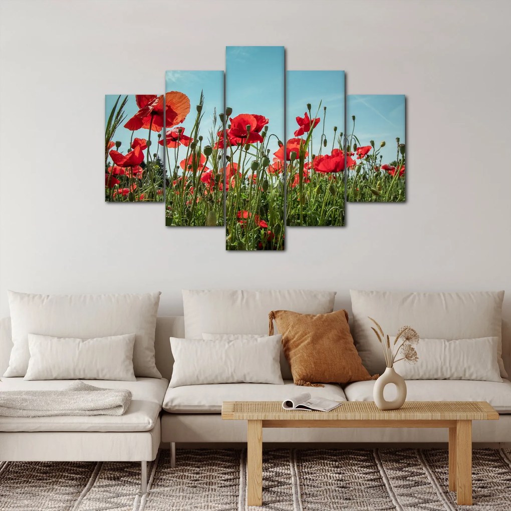 Obraz - Na poli vlčích makov (150x105 cm)