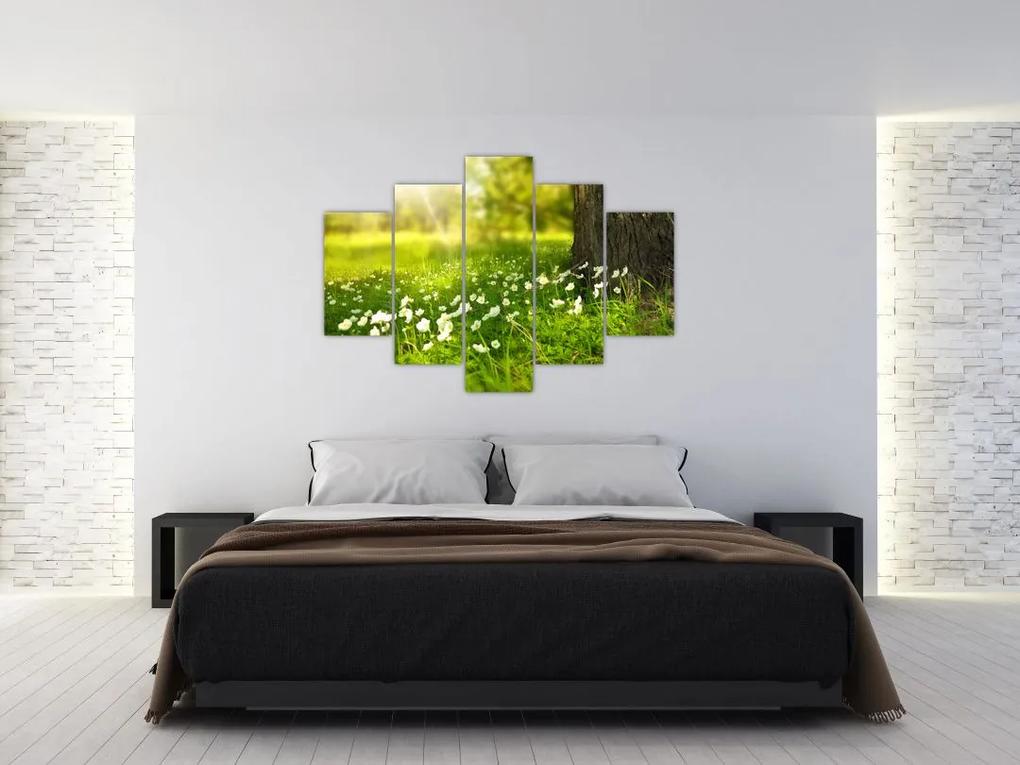 Obraz paseky a kvetín (150x105 cm)