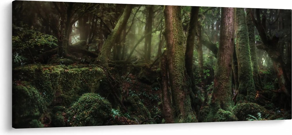 Obraz - Tajomný les (120x50 cm)