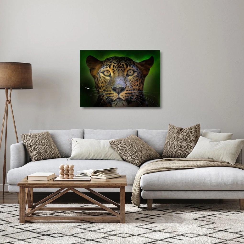 Sklenený obraz - Portrét leoparda, Sri Lanka (70x50 cm)