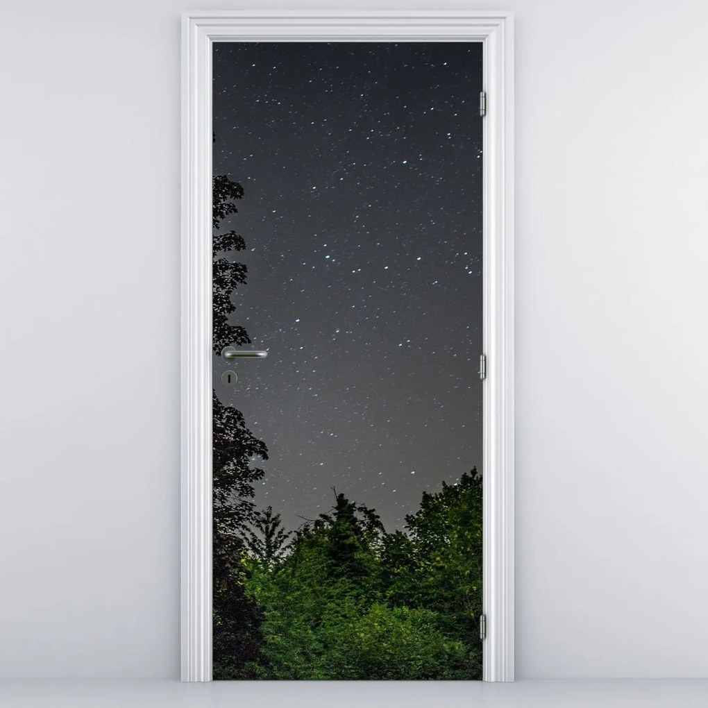 Fototapeta na dvere - Nočná obloha (95x205cm)