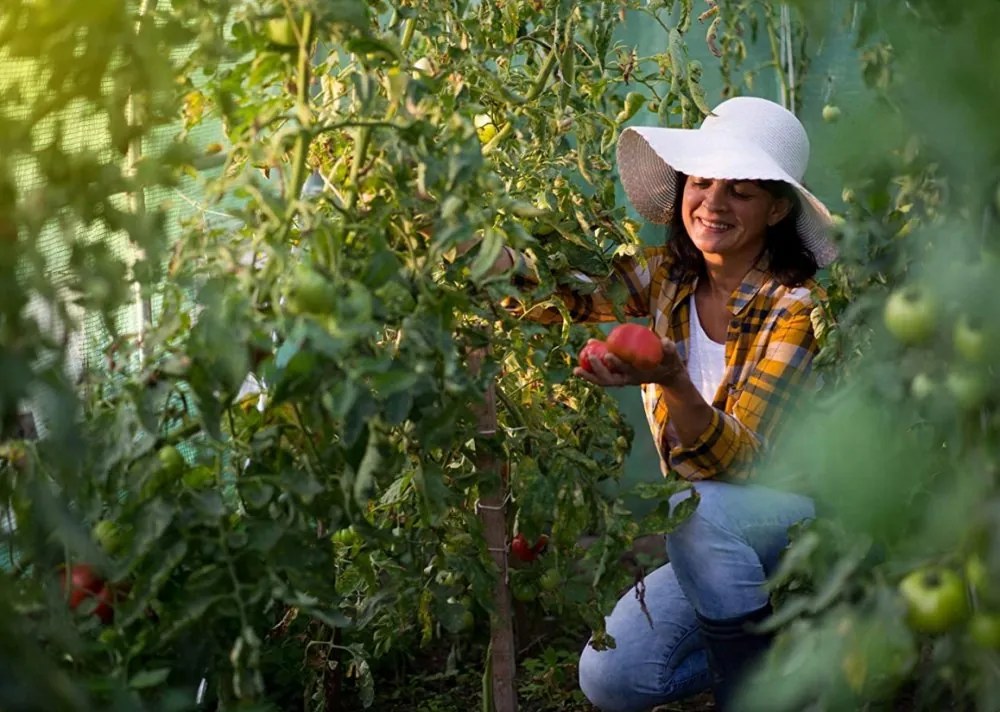 Záhradný fóliovník 2,5x4 m