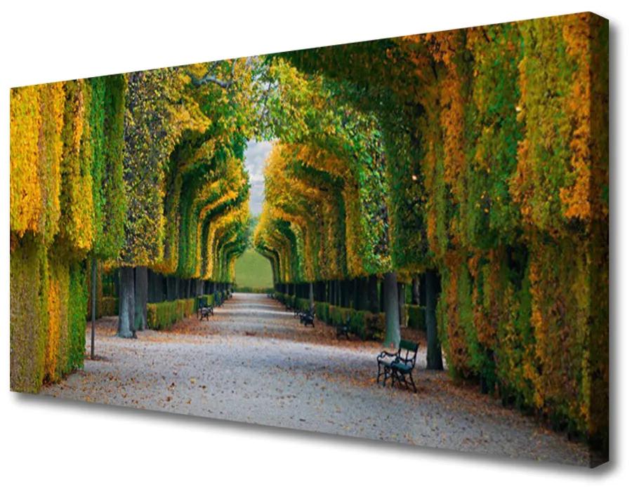 Obraz na plátne Park jeseň záhrada príroda 100x50 cm