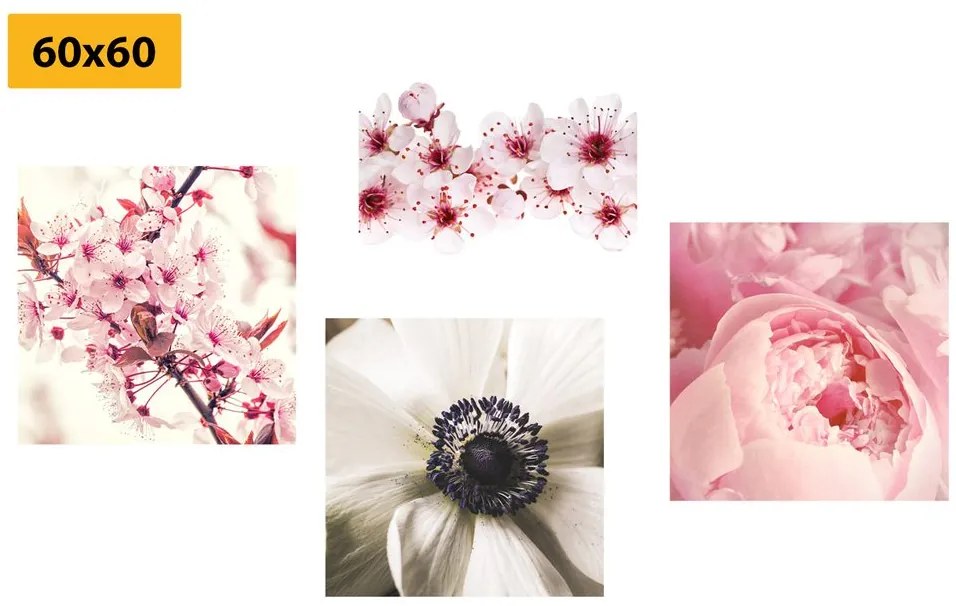 Set obrazov jemnosť kvetov Varianta: 4x 40x40