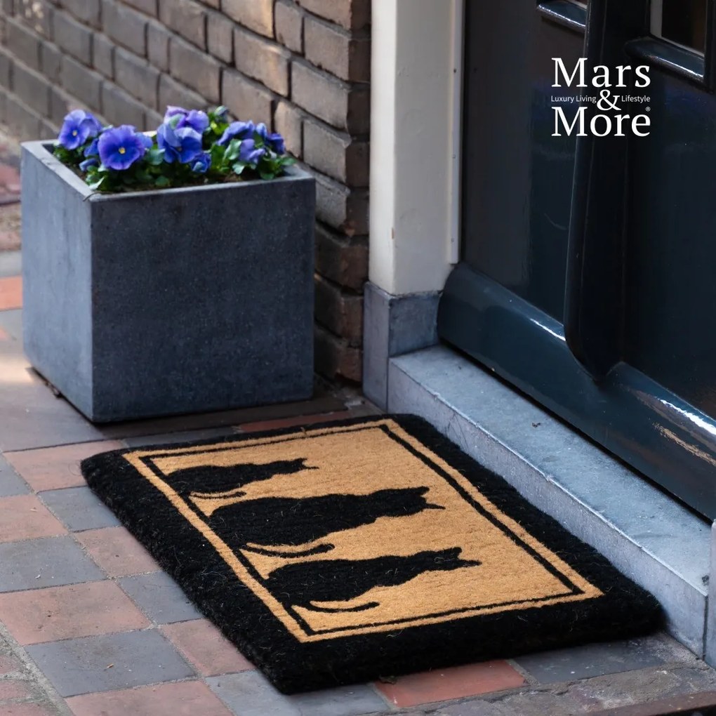 Rohožka z kokosových vlákien s mačkami Cats - 75*45*4cm