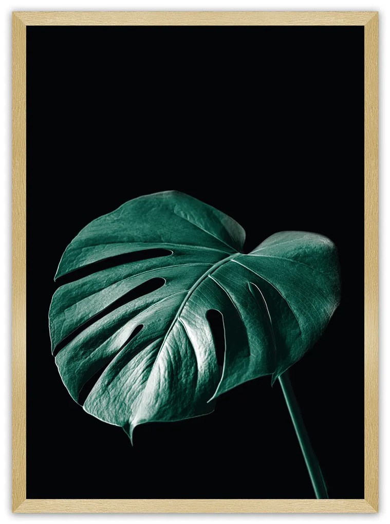 Plagát Dark Monstera