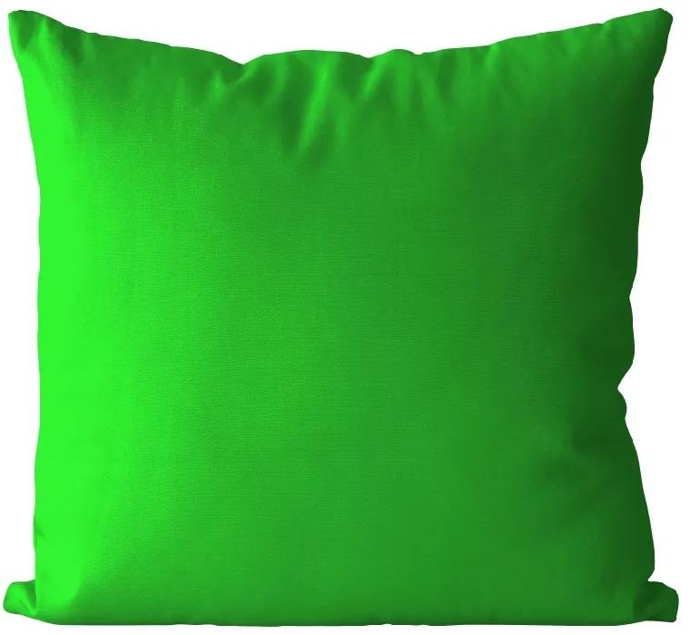 Vankúš Zelený (Veľkosť: 55 x 55 cm)
