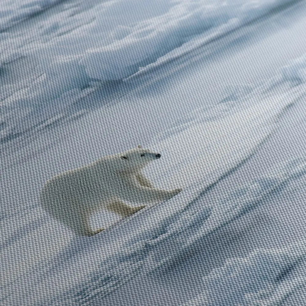 Obraz polárny medveď na ľadovej kryhe
